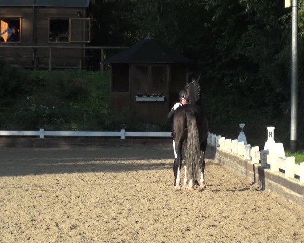 Reitturnier Mettmann - Reitanlage Löckenhoff 2018
