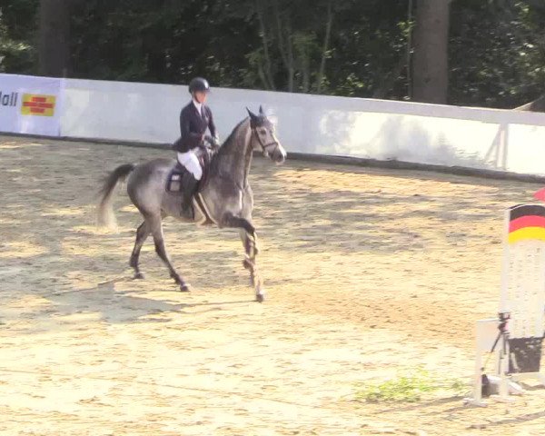 Reitturnier Buchenhof-Ibbenbüren 2018