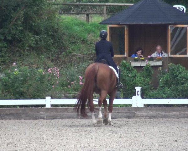 Reitturnier Mettmann - Reitanlage Löckenhoff 2018