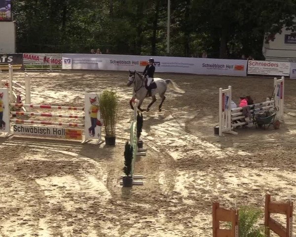 Reitturnier Buchenhof-Ibbenbüren 2018