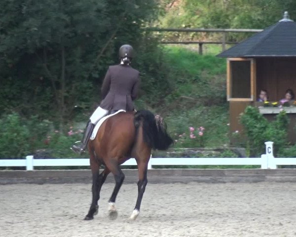 Reitturnier Mettmann - Reitanlage Löckenhoff 2018