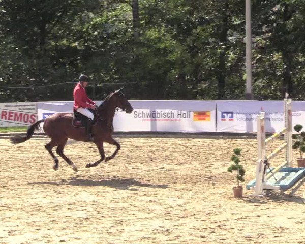 Reitturnier Buchenhof-Ibbenbüren 2018