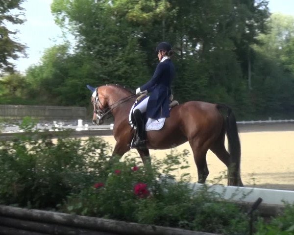 Reitturnier Mettmann - Reitanlage Löckenhoff 2018
