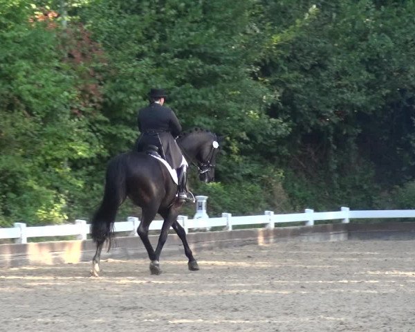 Reitturnier Mettmann - Reitanlage Löckenhoff 2018