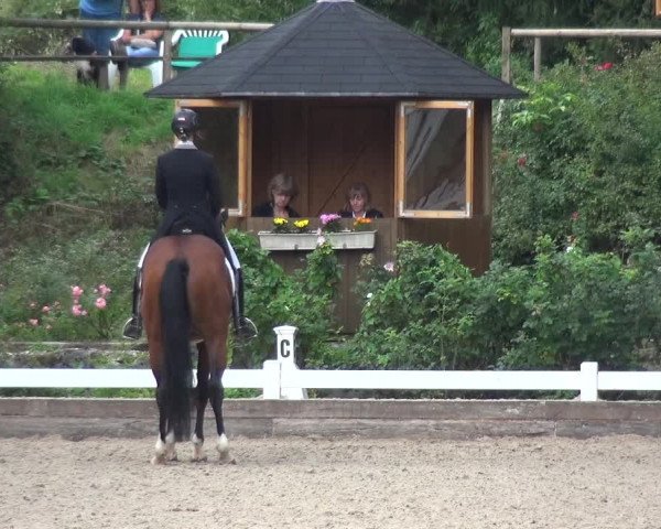 Reitturnier Mettmann - Reitanlage Löckenhoff 2018