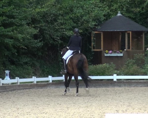 Reitturnier Mettmann - Reitanlage Löckenhoff 2018