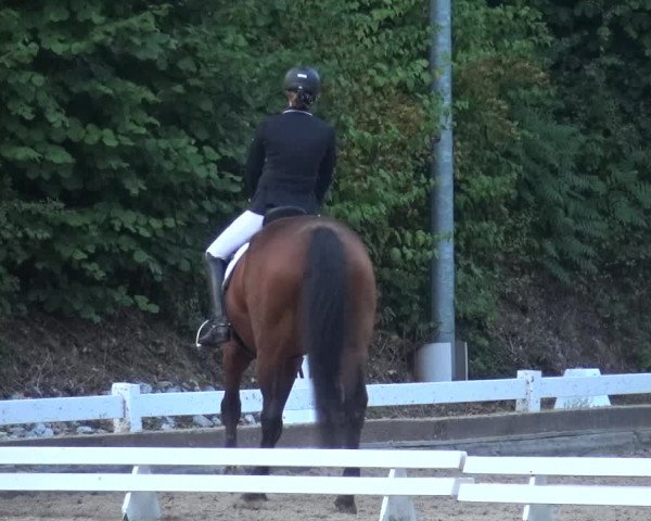 Reitturnier Mettmann - Reitanlage Löckenhoff 2018