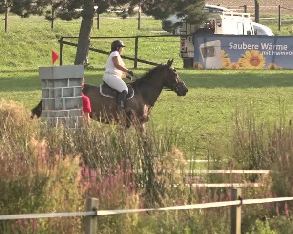 Springkonkurrenz Aadorf 2018