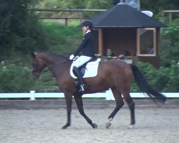 Reitturnier Mettmann - Reitanlage Löckenhoff 2018