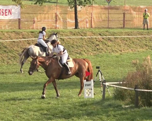 Springkonkurrenz Aadorf 2018