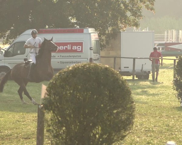 Springkonkurrenz Aadorf 2018