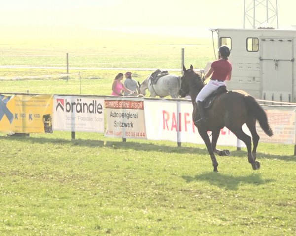 Springkonkurrenz Aadorf 2018