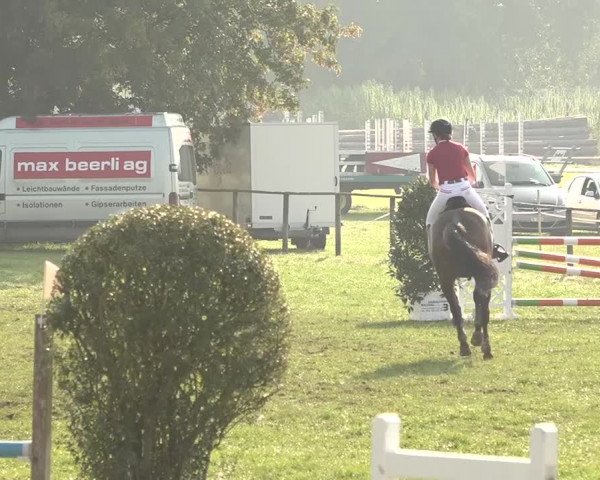Springkonkurrenz Aadorf 2018
