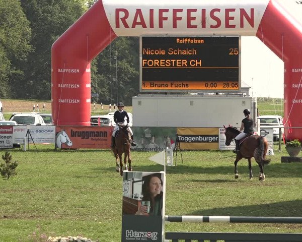 Springkonkurrenz Aadorf 2018