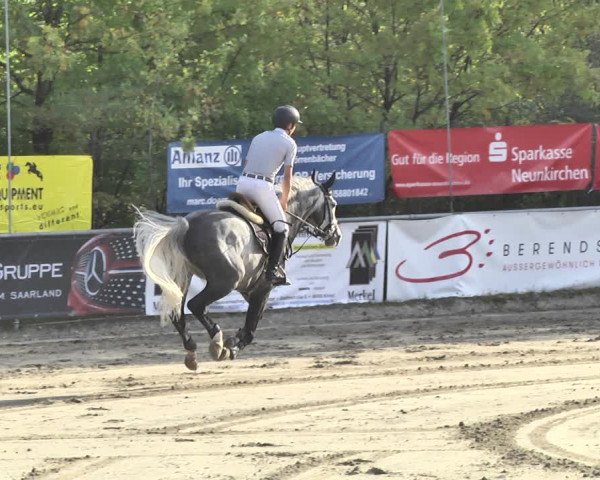 Reitturnier Neunkirchen-City 2018