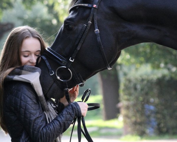 Dressurpferd San Flamenco (Hannoveraner, 2011, von Swarovski)