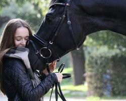 dressage horse San Flamenco (Hanoverian, 2011, from Swarovski)