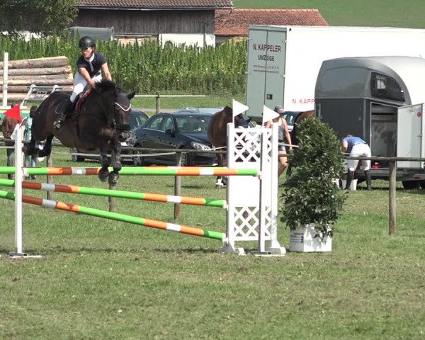 Springkonkurrenz Aadorf 2018
