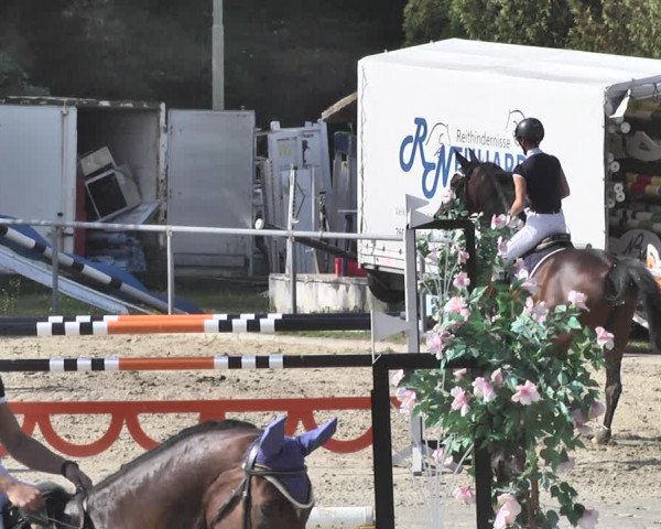 Reitturnier Neunkirchen-City 2018