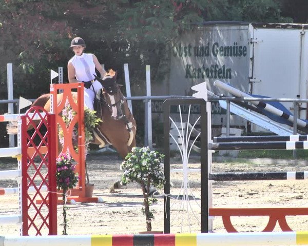 Reitturnier Neunkirchen-City 2018
