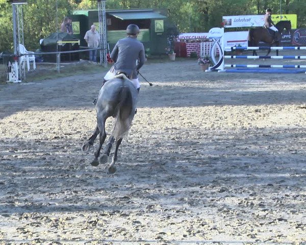 Reitturnier Neunkirchen-City 2018