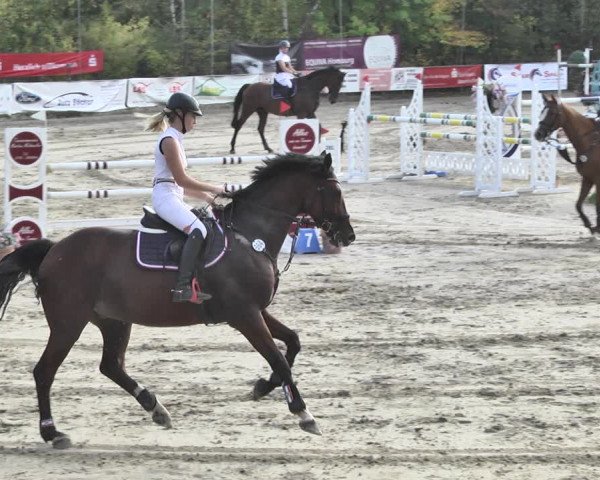 Reitturnier Neunkirchen-City 2018