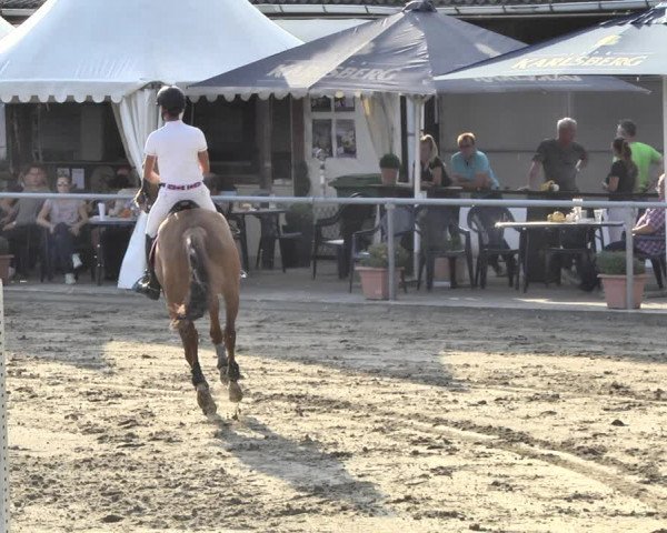 Reitturnier Neunkirchen-City 2018
