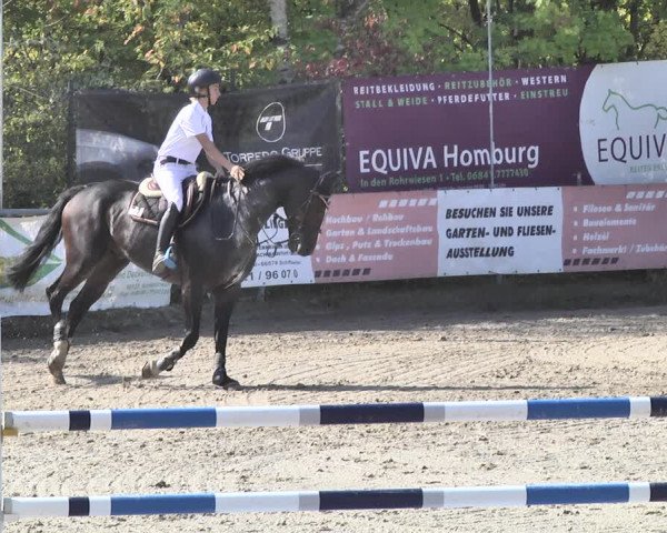 Reitturnier Neunkirchen-City 2018