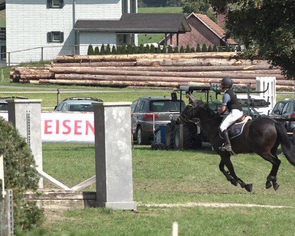 Springkonkurrenz Aadorf 2018