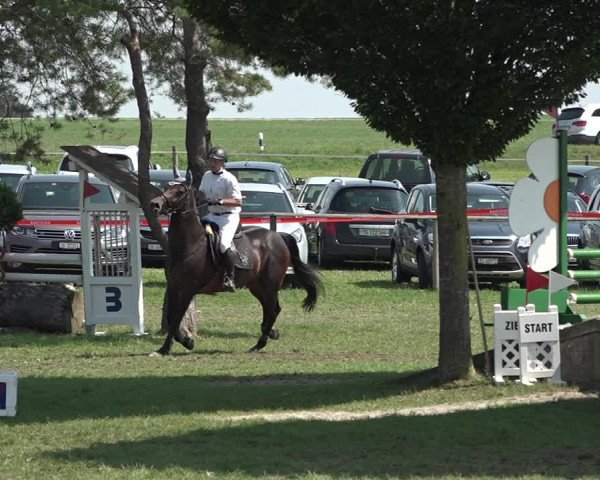Springkonkurrenz Aadorf 2018