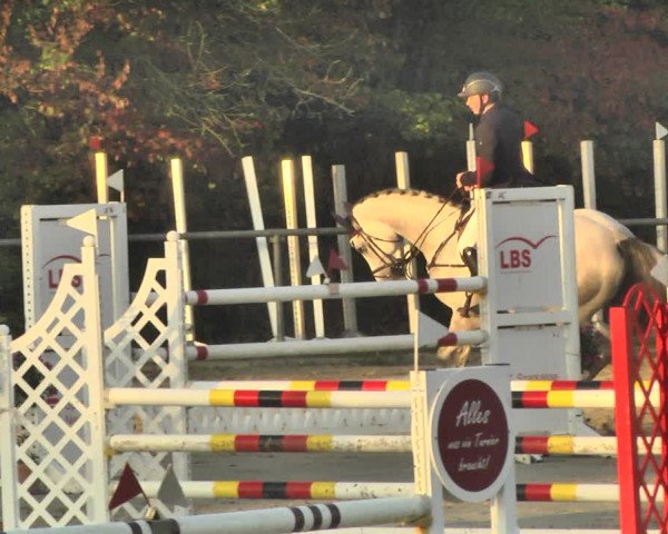 Reitturnier Neunkirchen-City 2018