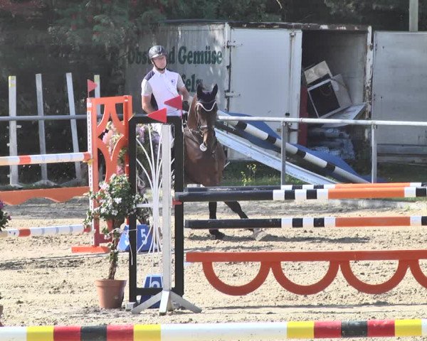 Reitturnier Neunkirchen-City 2018