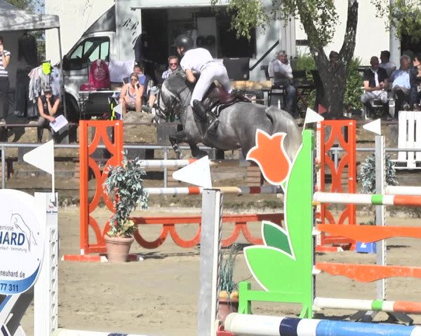 Reitturnier Neunkirchen-City 2018