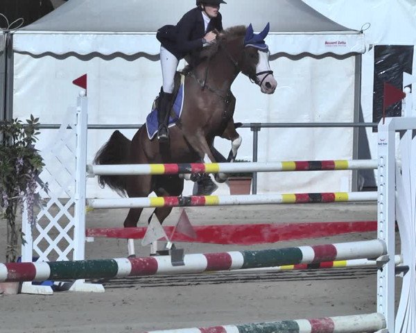 Reitturnier Neunkirchen-City 2018