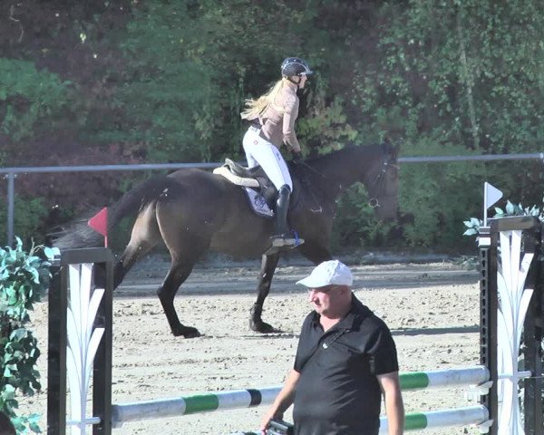 Reitturnier Neunkirchen-City 2018