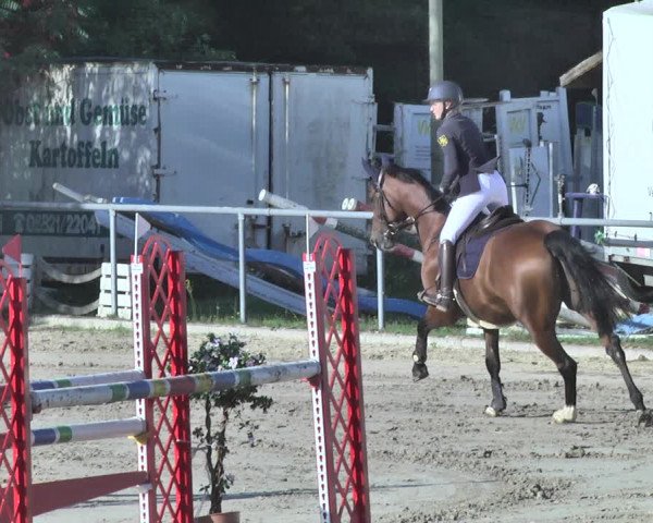 Reitturnier Neunkirchen-City 2018