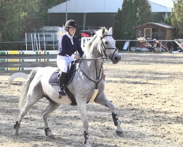 Reitturnier Neunkirchen-City 2018