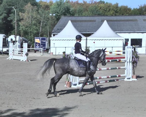 Reitturnier Neunkirchen-City 2018