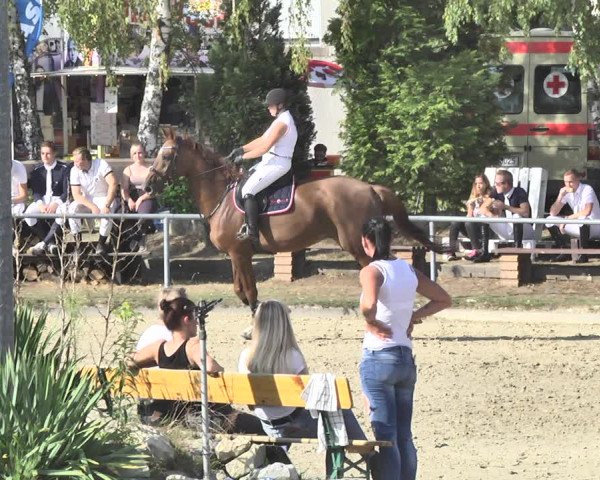 Reitturnier Neunkirchen-City 2018