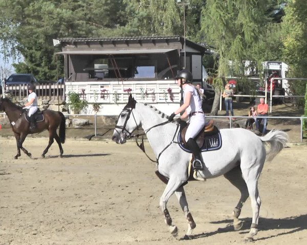 Reitturnier Neunkirchen-City 2018