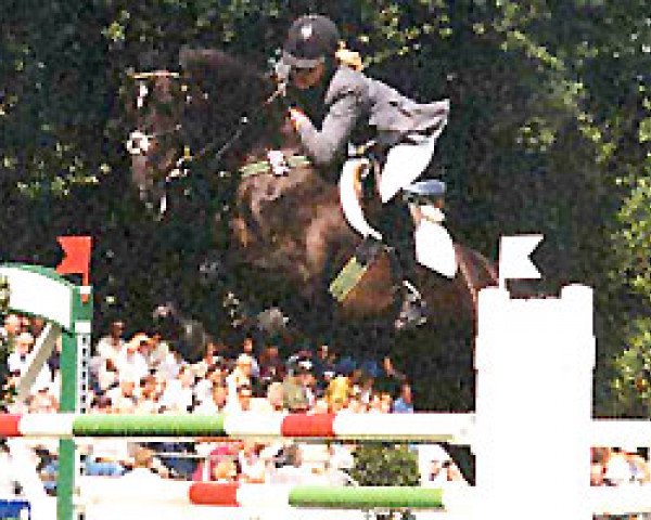 broodmare Viva jumping (Hanoverian, 1996, from Voltaire)