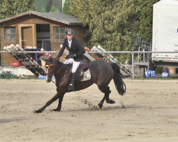 Reitturnier Neunkirchen-City 2018