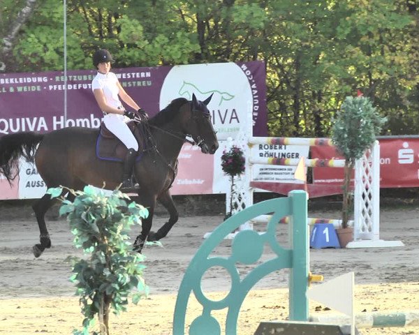 Reitturnier Neunkirchen-City 2018