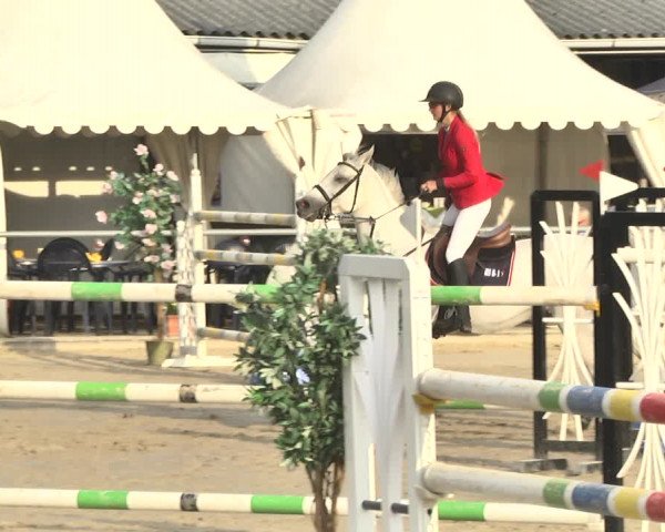 Reitturnier Neunkirchen-City 2018