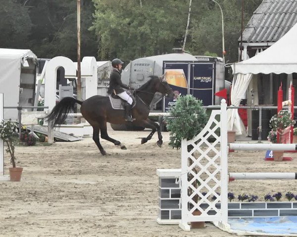 Reitturnier Neunkirchen-City 2018