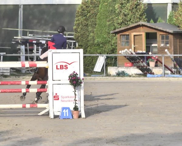 Reitturnier Neunkirchen-City 2018