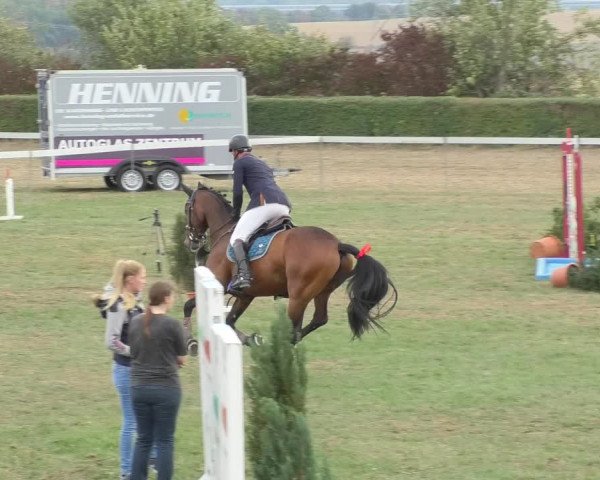 Reitturnier Nußdorf 2018