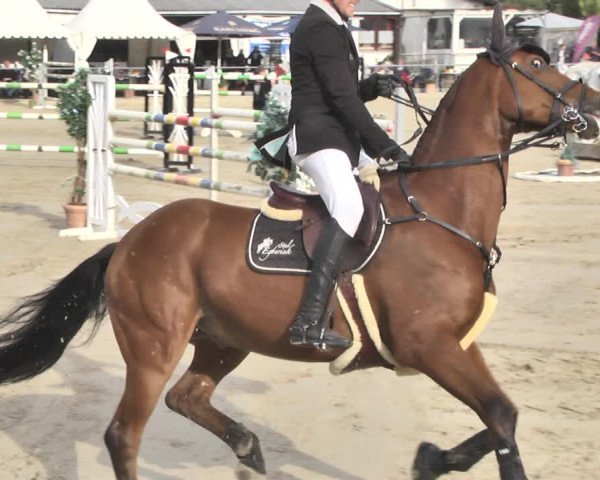 Reitturnier Neunkirchen-City 2018