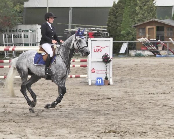 Reitturnier Neunkirchen-City 2018