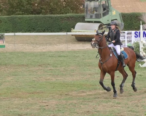 Reitturnier Nußdorf 2018